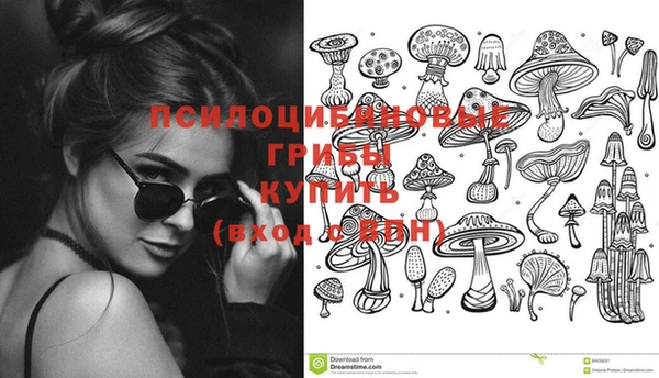 стафф Киреевск