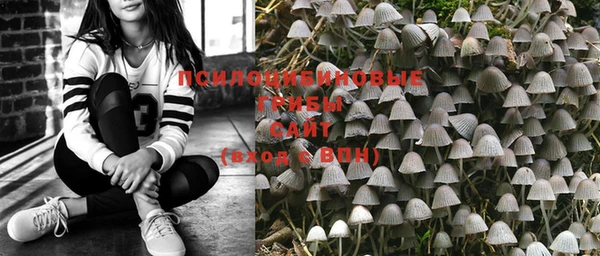 стафф Киреевск
